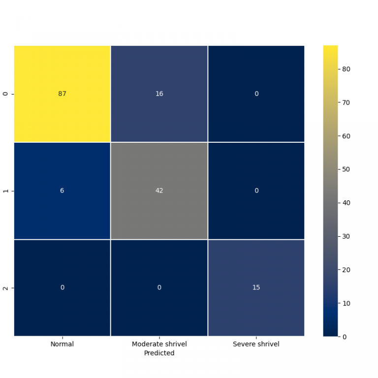 walnut_classification_results